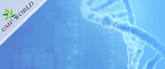 煙酰胺和nmn區(qū)別？煙酰胺單核苷酸(NMN) 的化合物