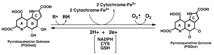 包含圖片、插圖等的外部文件。
對象名稱為 biomolecules-11-01441-g001.jpg