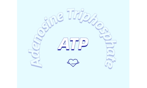 ATP有什么用？
